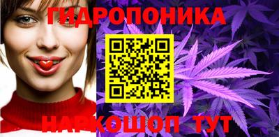 mdpv Владивосток