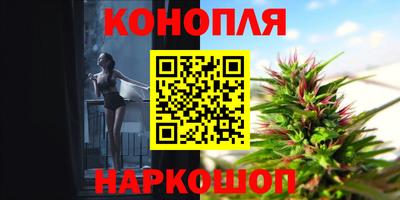 mdpv Владивосток