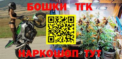 мдпв Владимир