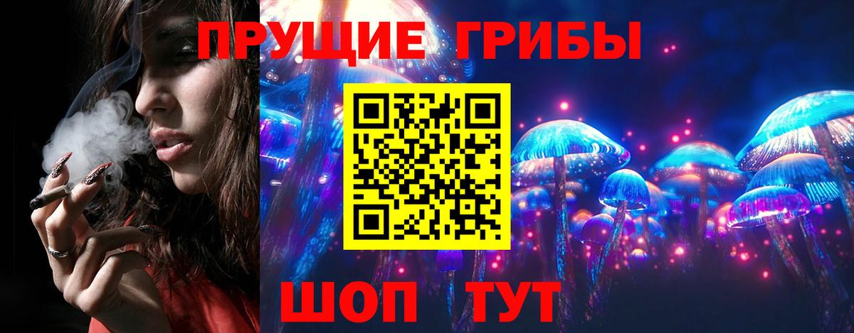 Псилоцибиновые грибы Psilocybe Грозный
