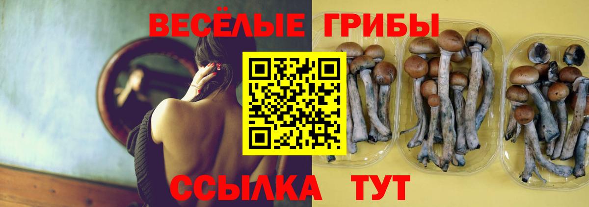 Псилоцибиновые грибы прущие грибы  Вход с VPN  купить наркоту  Грозный 